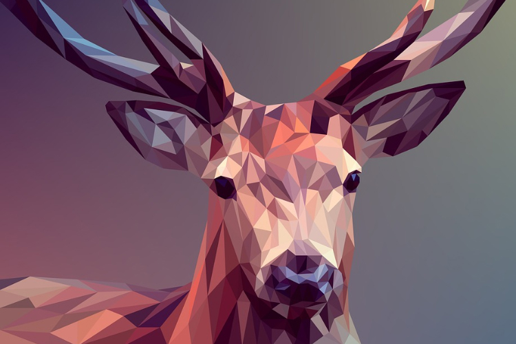 Graphic Design Trends