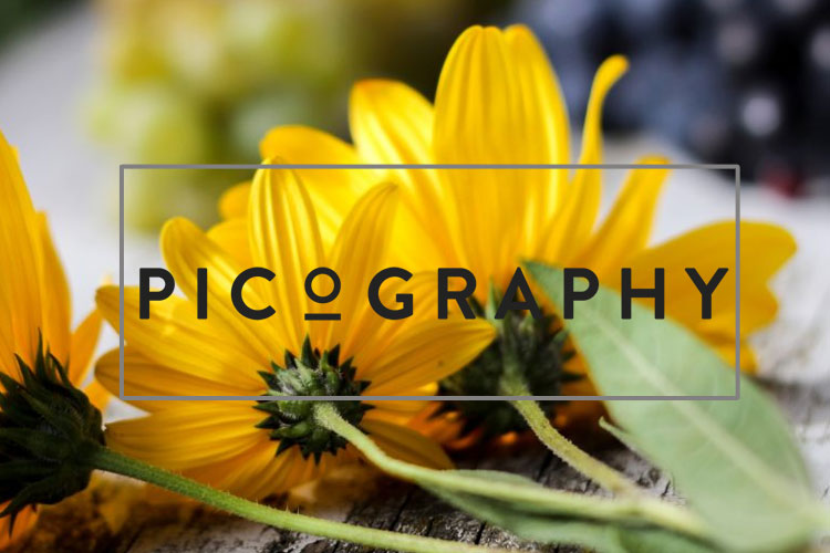 Picography