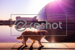 Reshot