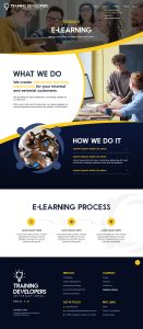 Training Developers International E-learning